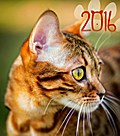 Katzen 2016