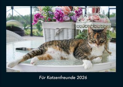 Für Katzenfreunde 2026 Fotokalender DIN A4