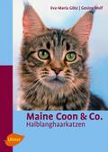 Maine Coon & Co.