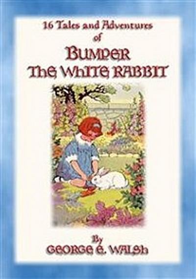 BUMPER THE WHITE RABBIT - 16 illustrated adventures of Bumper the White Rabbit