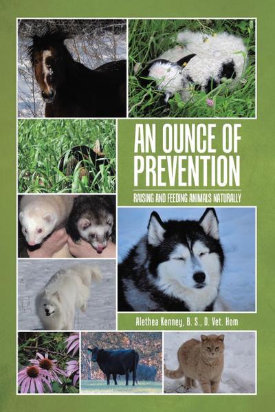 An Ounce of Prevention