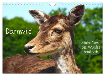 Damwild - stolze Tiere des Waldes hautnah (Wandkalender 2026 DIN A4 quer), CALVENDO Monatskalender