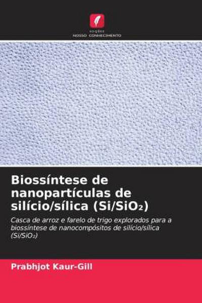 Biossíntese de nanopartículas de silício/sílica (Si/SiO¿)