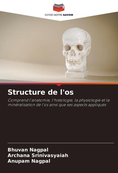 Structure de l’os