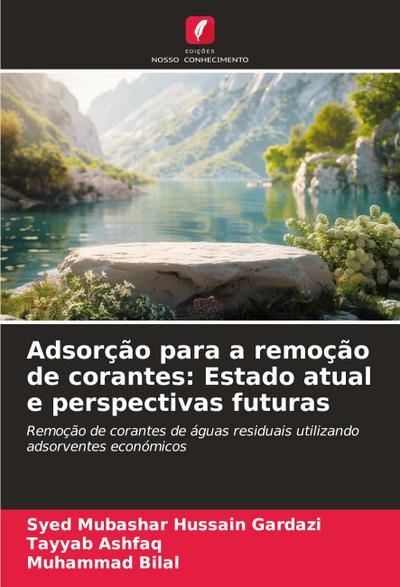 Adsorção para a remoção de corantes: Estado atual e perspectivas futuras