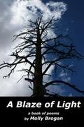 A Blaze of Light: A Book of Poems