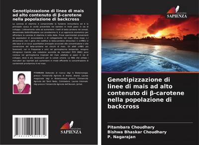 Genotipizzazione di linee di mais ad alto contenuto di ¿-carotene nella popolazione di backcross