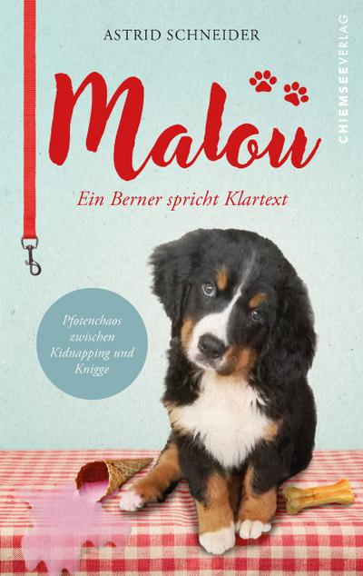 Malou - ein Berner spricht Klartext