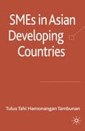 SMEs in Asian Developing Countries
