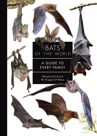 Bats of the World
