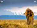 Afrika Gallery Kalender 2026
