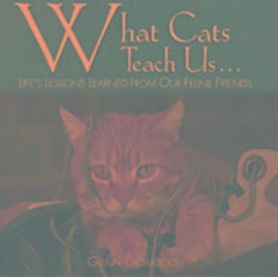 What Cats Teach Us: Life’s Lessons Learned from Our Feline Friends