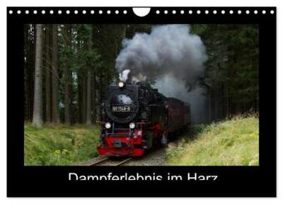 Dampferlebnis im Harz (Wandkalender 2026 DIN A4 quer), CALVENDO Monatskalender