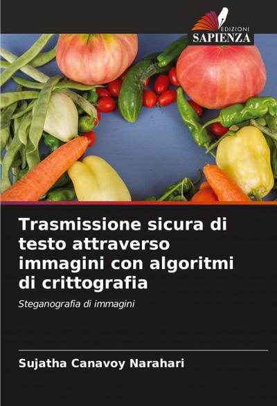 Trasmissione sicura di testo attraverso immagini con algoritmi di crittografia