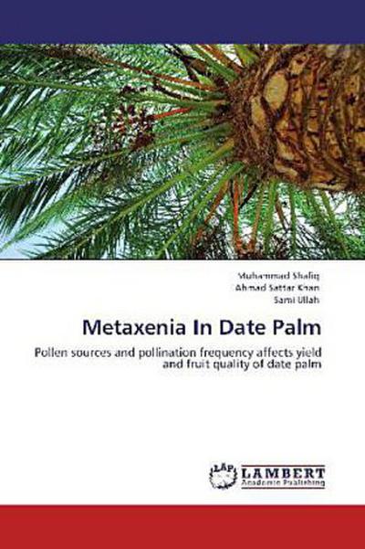 Metaxenia In Date Palm