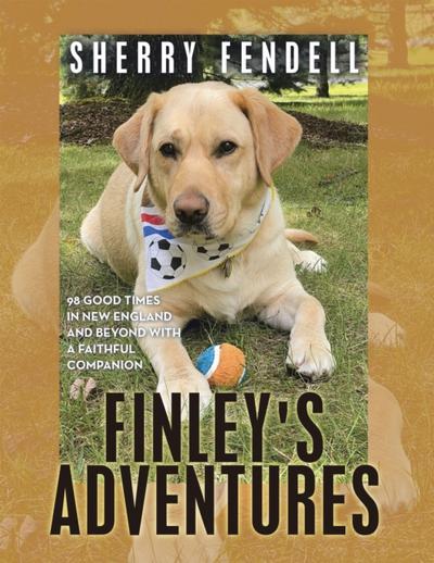 Finley’s Adventures
