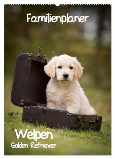 Familienplaner: Golden Retriever Welpen (Wandkalender 2026 DIN A2 hoch), CALVENDO Monatskalender