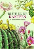 Blühende Kakteen