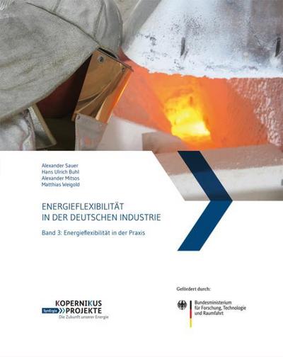 Energieflexibilität in der deutschen Industrie