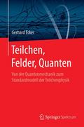 Teilchen, Felder, Quanten