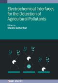 Electrochemical Interfaces for the Detection of Agricultural Pollutants
