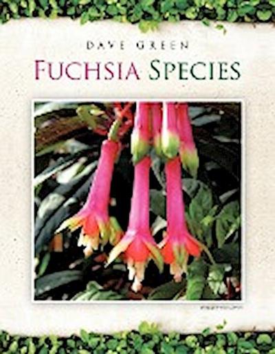 Fuchsia Species