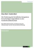 Die Förderung der beruflichen Integration benachteiligter Jugendlicher in der Sonderberufsfachschule