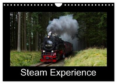 Steam Experience (Wall Calendar 2027 DIN A4 landscape), CALVENDO 12 Month Wall Calendar