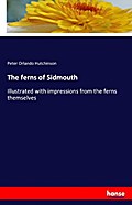 The ferns of Sidmouth
