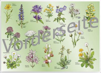 Tischset Wiesenblumen