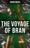 The Voyage of Bran