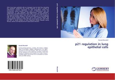 p21 regulation in lung epithelial cells