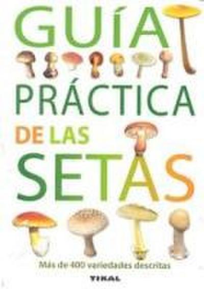 Guía práctica de las setas