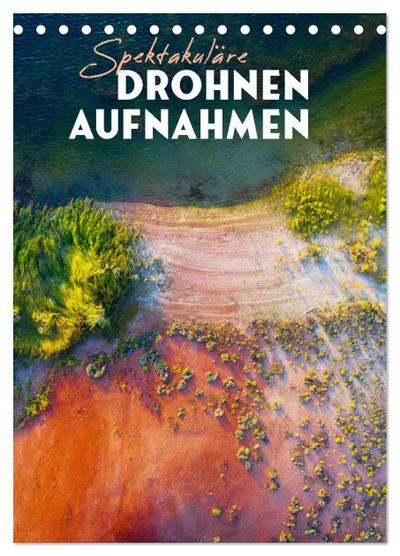 Brain in Relation to Mind