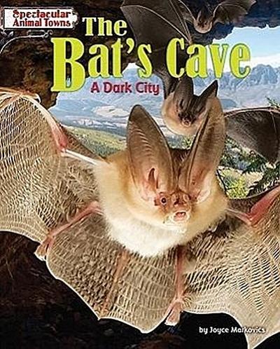 The Bat’s Cave: A Dark City