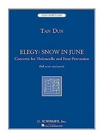 Elegy: Snow in June