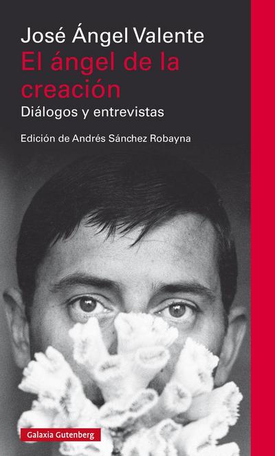 El ángel de la creación : diálogos y entrevistas