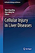 Cellular Injury in Liver Diseases