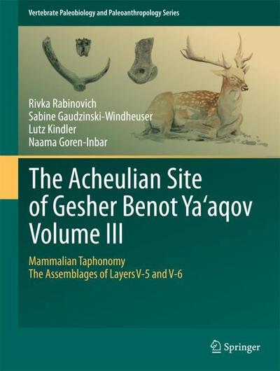 The Acheulian Site of Gesher Benot  Ya’aqov  Volume III