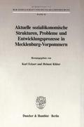 Aktuelle sozialökonomische Strukturen, Probleme un