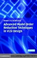 Advanced Model Order Reduction Techniques in VLSI 