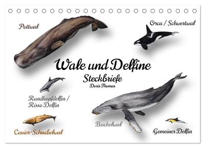 Wale und Delfine Steckbriefe (Tischkalender 2026 DIN A5 quer), CALVENDO Monatskalender