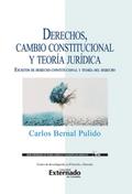 Derechos, cambio constitucional y teoría jurídica : escritos de derecho constitucional y teoría del derecho