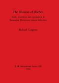 The Illusion of Riches
