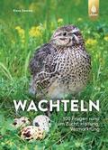 Wachteln - 100 Fragen rund um Zucht, Haltung, Vermarktung