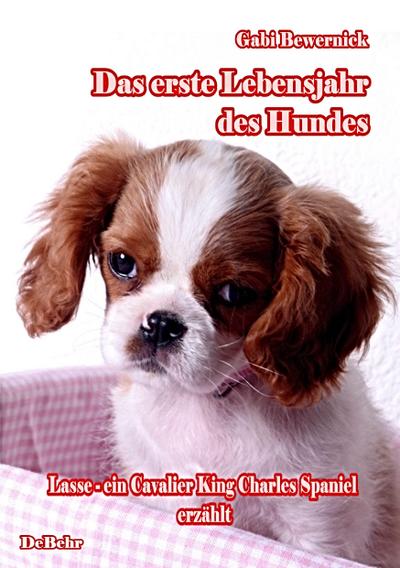 Das erste Lebensjahr des Hundes  Lasse - ein Cavalier King Charles Spaniel erzählt