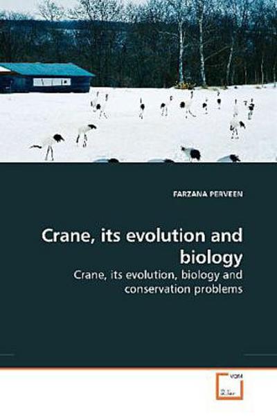 Crane, its evolution and biology