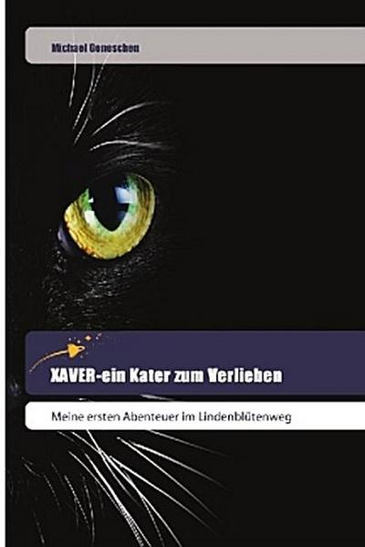 XAVER-ein Kater zum Verlieben