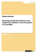 Reporting and Big Data.Big Data as one megatrend of industry 4.0 and the impacts on controlling