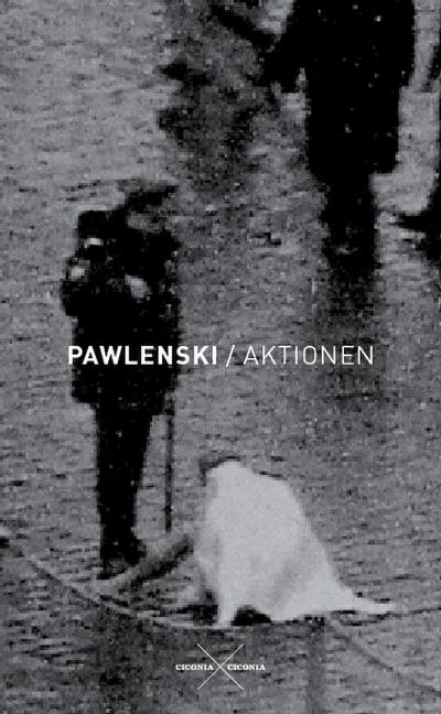 Pawlenski,Aktionen